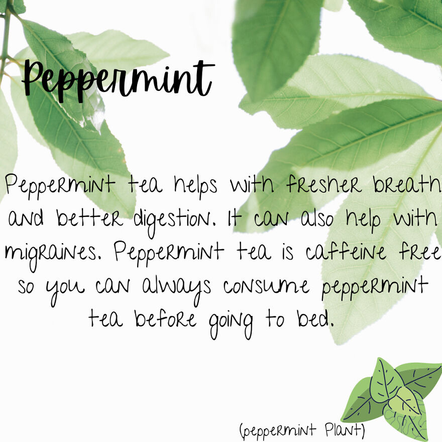 I Was Bored So Benefits Of Different Types Of Tea