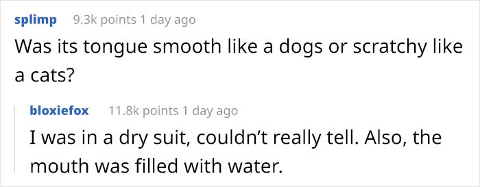 Lobster-Diver-Survive-Swallowed-Whale