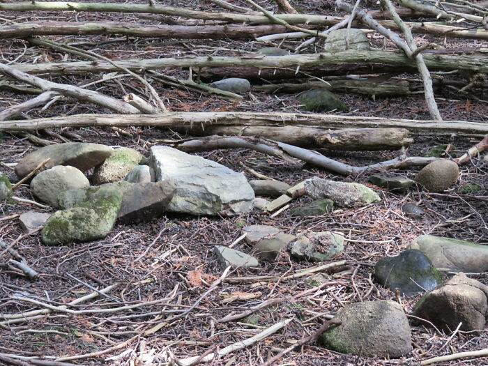 40 Popular Sayings Getting Roasted By People Online For Being False