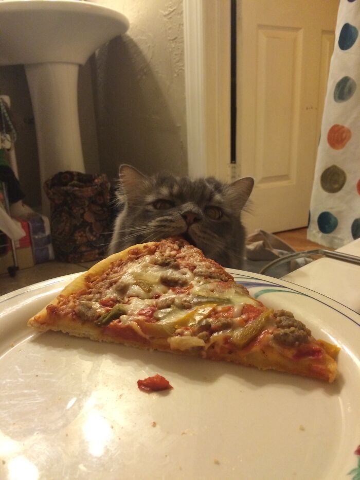 I'd Love A Bite, Thanks!