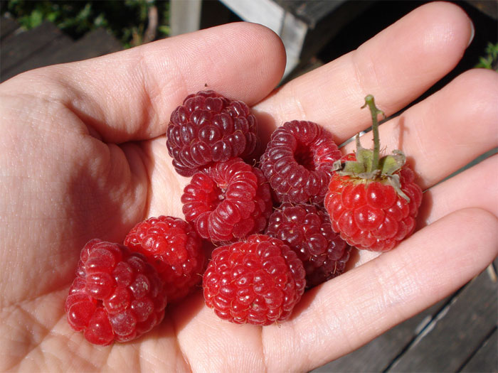 40 Interesting Words For Things You Probably Never Knew Had A Name