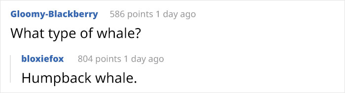 Lobster-Diver-Survive-Swallowed-Whale