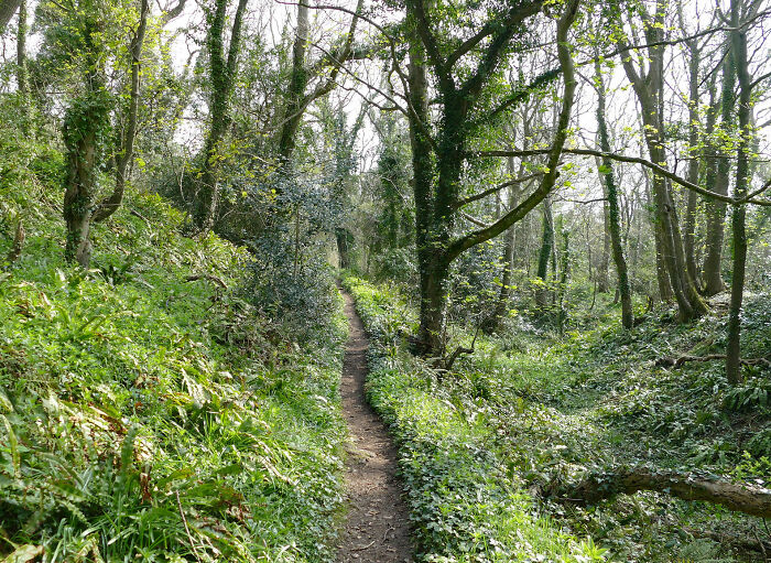 40 Interesting Words For Things You Probably Never Knew Had A Name