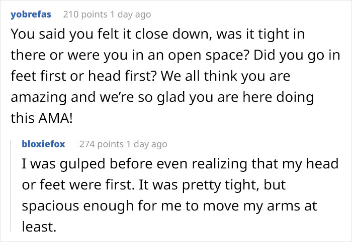 Lobster-Diver-Survive-Swallowed-Whale