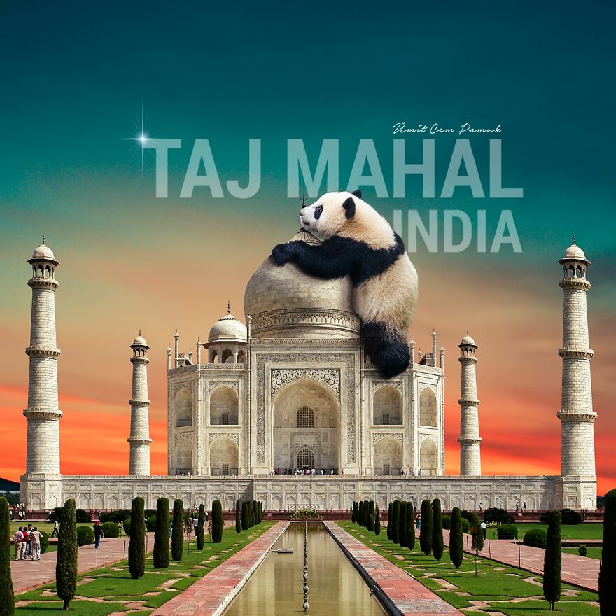 I Make Photo Manipulations Of Famous Cities And Animals