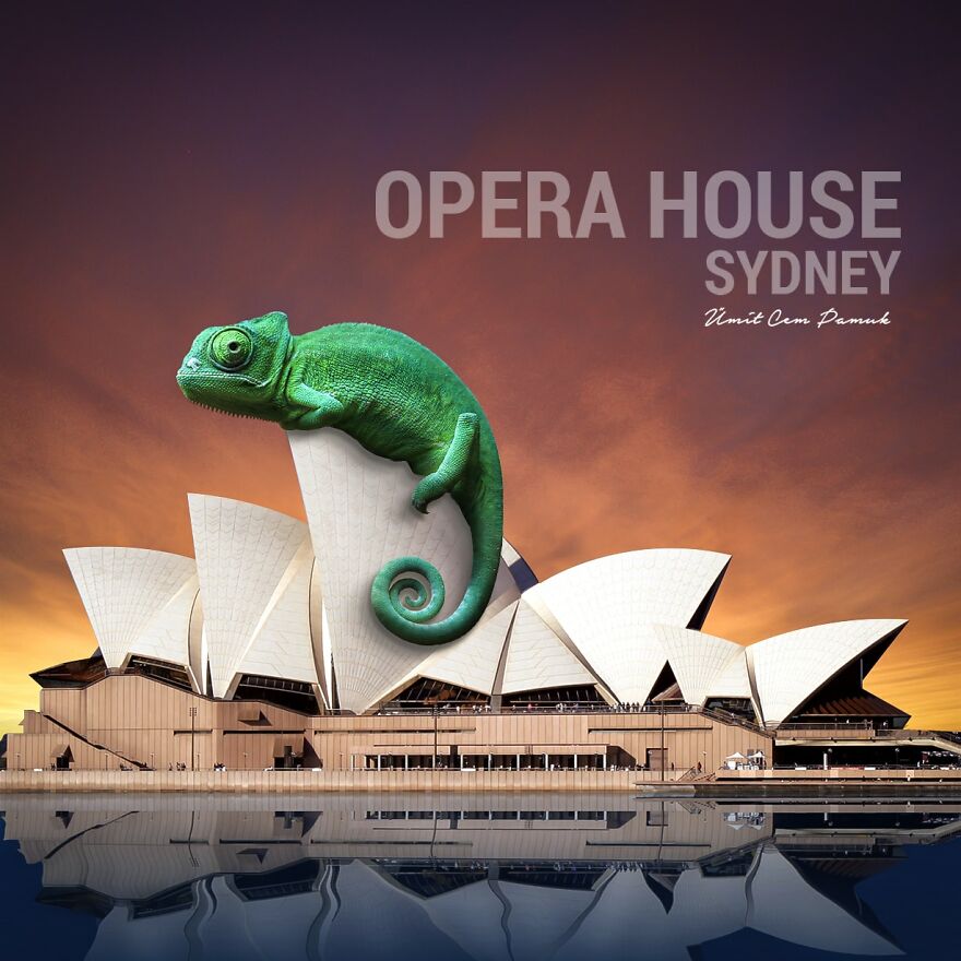 I Make Photo Manipulations Of Famous Cities And Animals