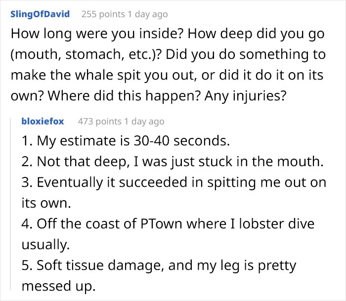 Lobster-Diver-Survive-Swallowed-Whale