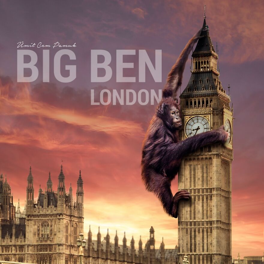 I Make Photo Manipulations Of Famous Cities And Animals