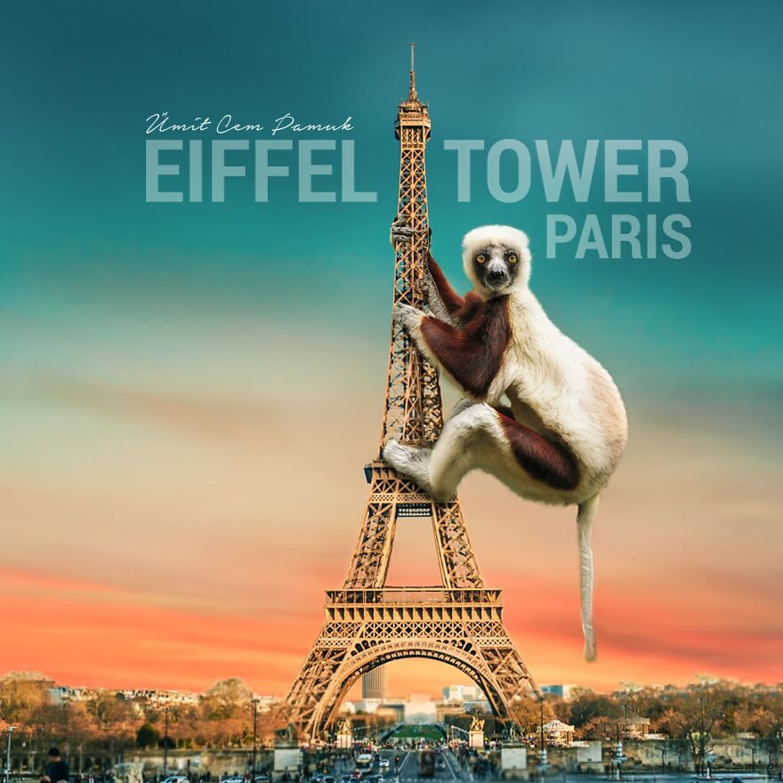I Make Photo Manipulations Of Famous Cities And Animals
