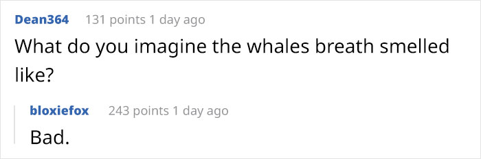 Lobster-Diver-Survive-Swallowed-Whale