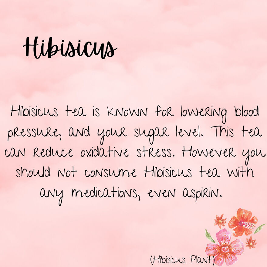 I Was Bored So Benefits Of Different Types Of Tea