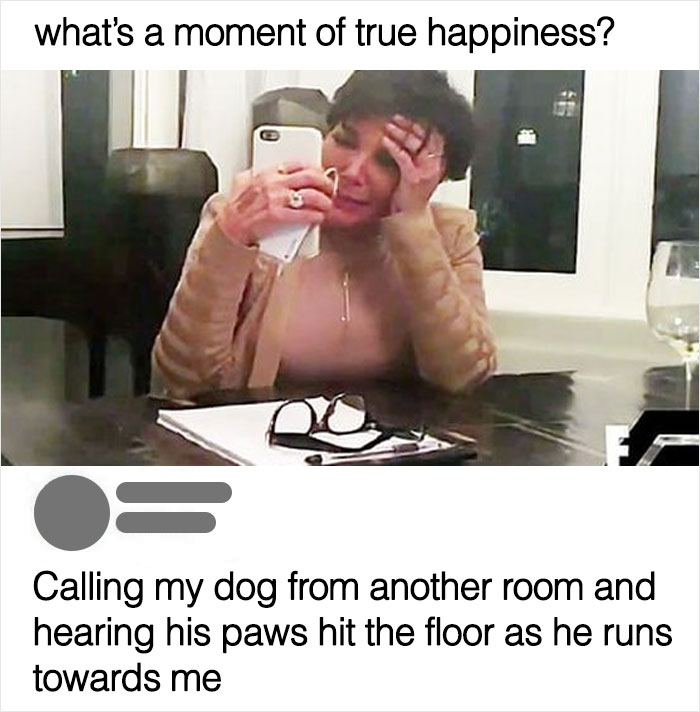 Dog-Owner-Memes