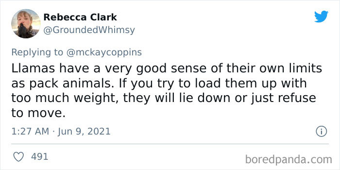 Father-Asks-Internet-Interesting-Facts-For-Children