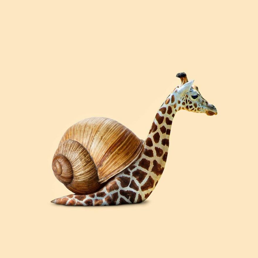 Artist Mixes Animals And Creates The Most Surreal Hybrids You've Ever Seen ( 151 Pics)