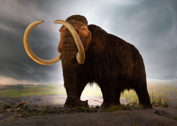 40 Interesting Things People Didn’t Learn At School And Decided To Share Them In This Online Group (New Pics)