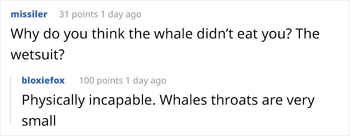 Lobster-Diver-Survive-Swallowed-Whale