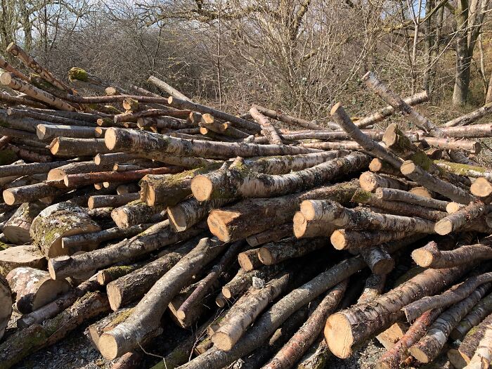 30 Business Decisions That Ended Up Hurting Companies, As Shared In This Online Group