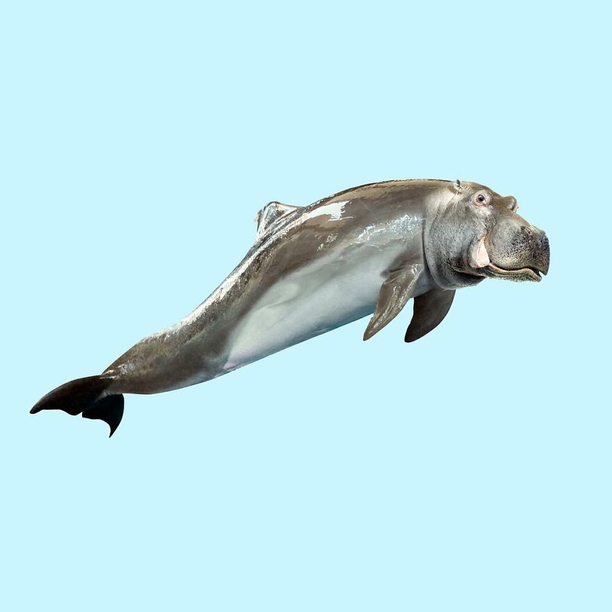 Artist Mixes Animals And Creates The Most Surreal Hybrids You've Ever Seen ( 151 Pics)