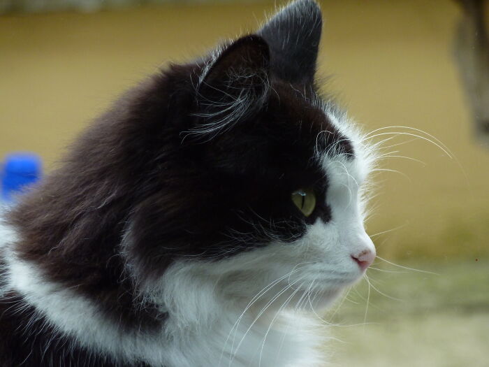 40 Popular Sayings Getting Roasted By People Online For Being False