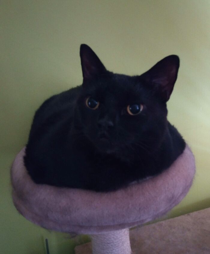 I Wanted To Name Her ‘Rain’, My Husband Said It Was A Hippy Name, So I Called Her Regan (Which He Didn’t Know Was German/Dutch For Rain...lol)