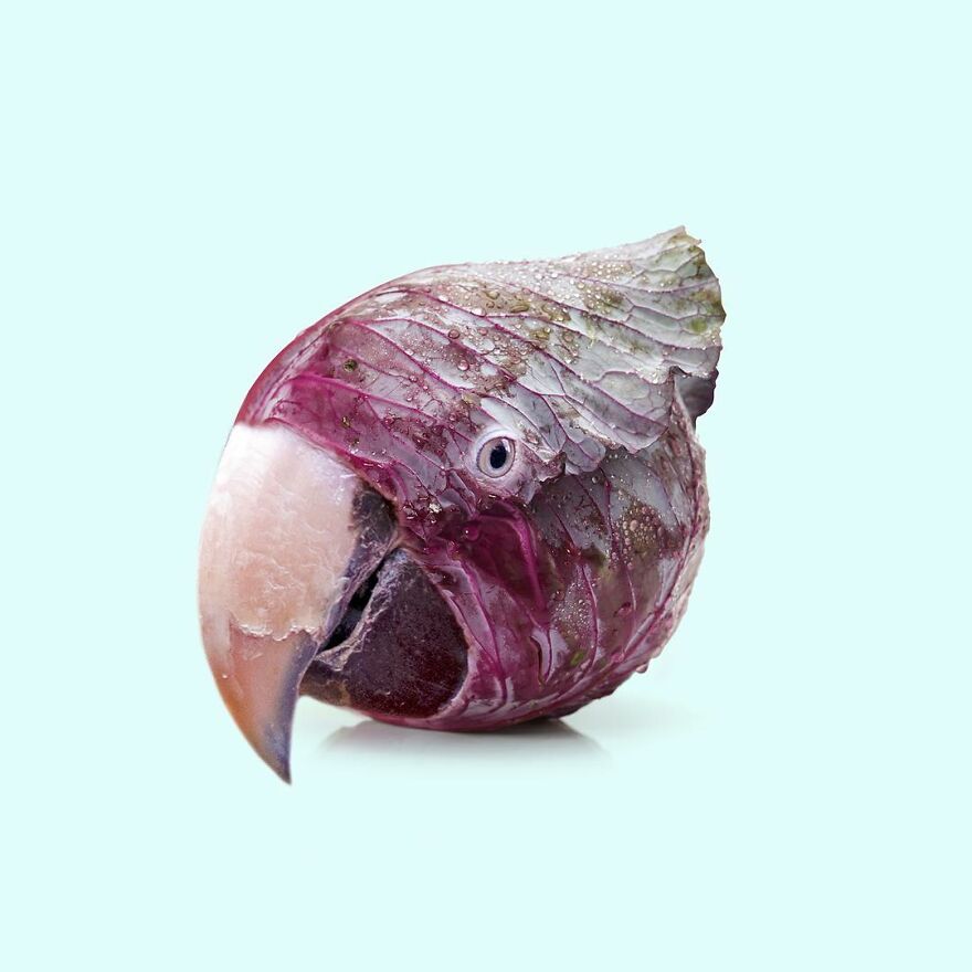 Artist Mixes Animals And Creates The Most Surreal Hybrids You've Ever Seen ( 151 Pics)