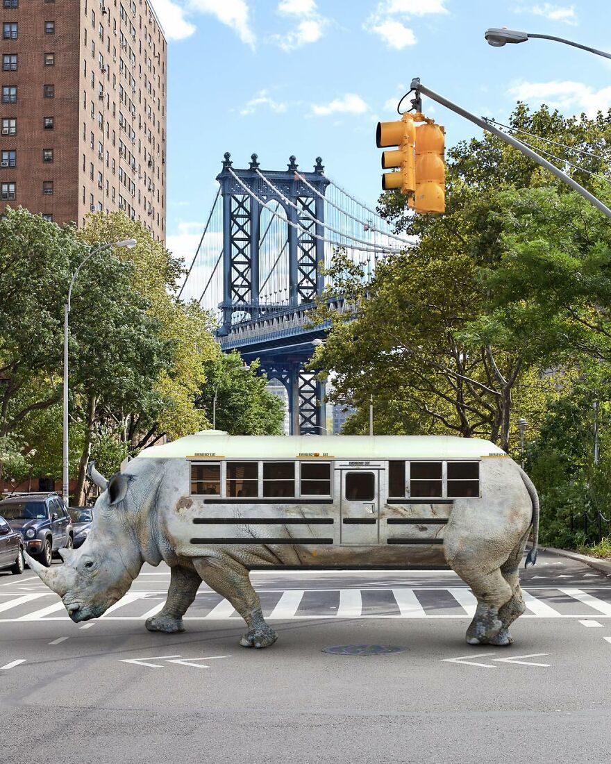 Artist Mixes Animals And Creates The Most Surreal Hybrids You've Ever Seen ( 151 Pics)