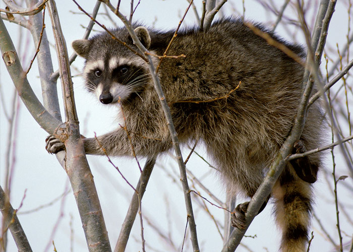 40 Interesting Things People Didn’t Learn At School And Decided To Share Them In This Online Group (New Pics)