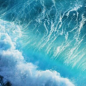 charlottebailey avatar