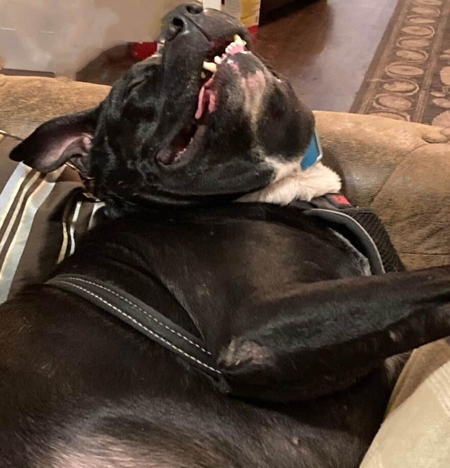 Stepped On A LEGO Face.