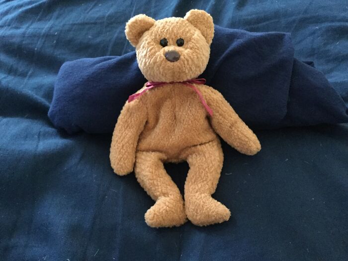 My Sleeping Companion, Little Dude