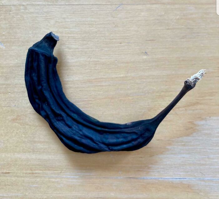 5-Month-Old Banana