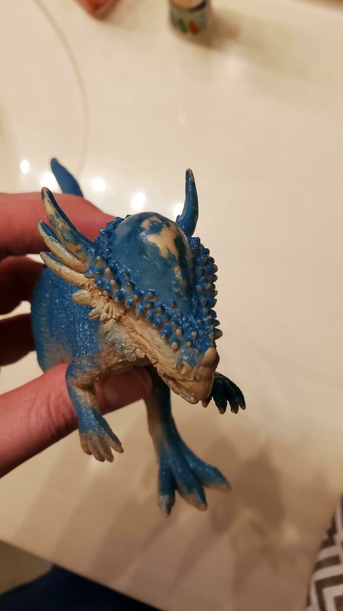 Spot Worn On My Son's Pachycephalosaurus' Head From Years Of Head-Butting Other Dinosaurs