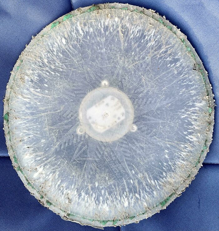 The Pattern Of Bite Marks On My Dog’s Frisbee After Thousands Of Fetches