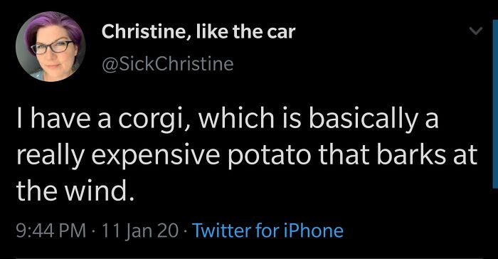 Expensive Potato That Barks At The Wind