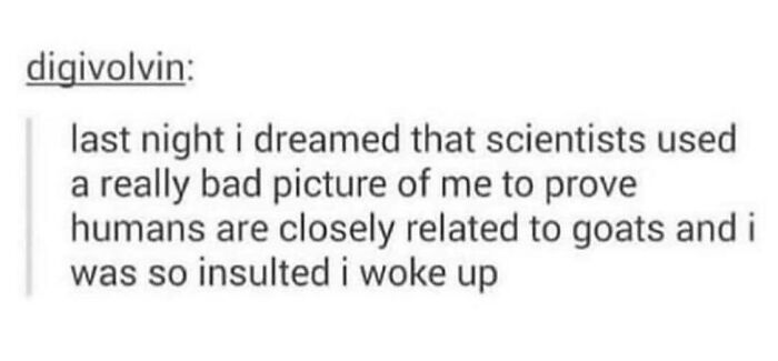 “I Was So Insulted I Woke Up”