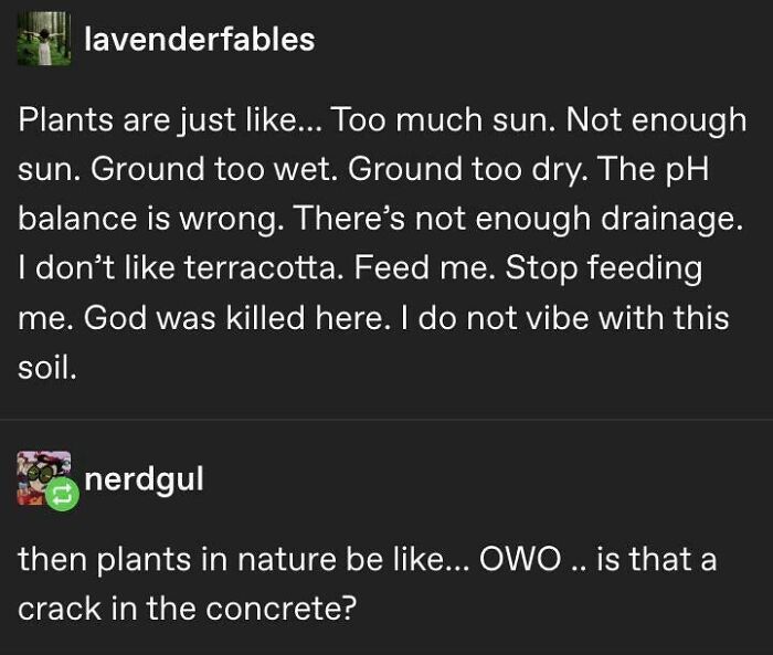 I Do Not Vibe With This Soil