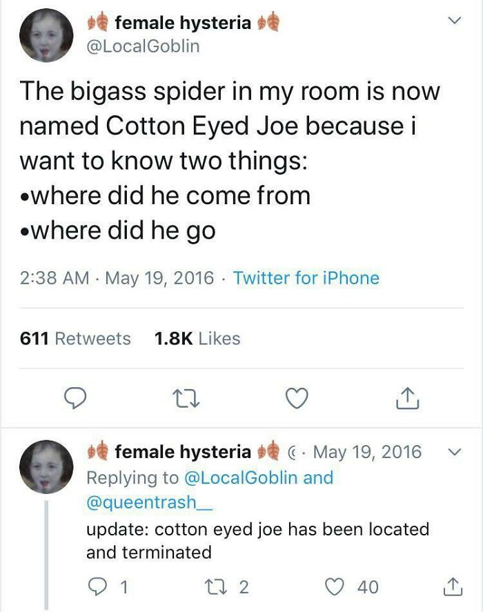 Cotton Eye Joe Has Been Terminated