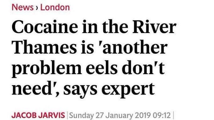 Just Everything About This Sentence To Be Honest