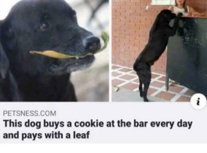 When Youre This Cute Money *does* Grow On Trees