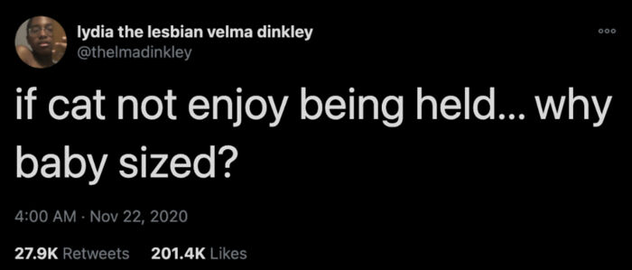 If Cat Not Enjoy Being Held,why Baby Sized?