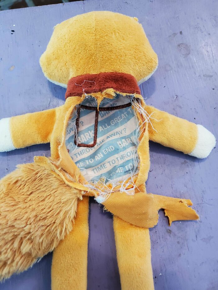 My Dog's Dog Toy Has A Secret Message To Tell When It's Time To Throw It Away