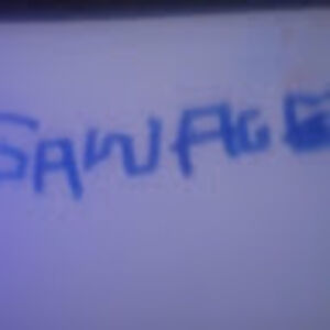 gawagettheobjectthingy avatar