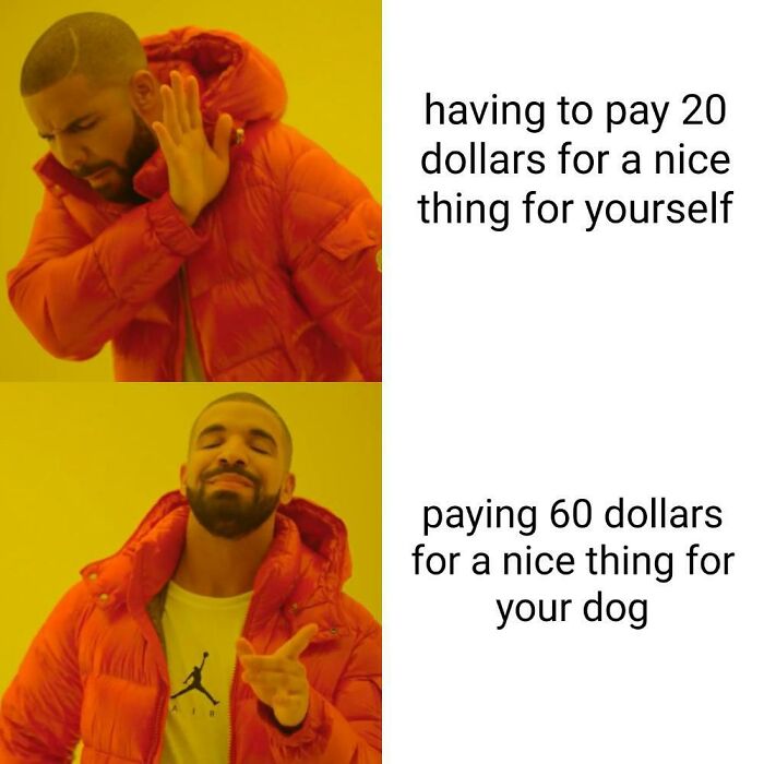 Dog-Owner-Memes