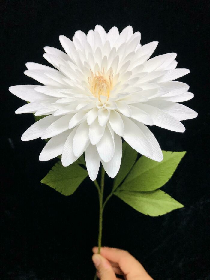 Dahlia I Made From Paper