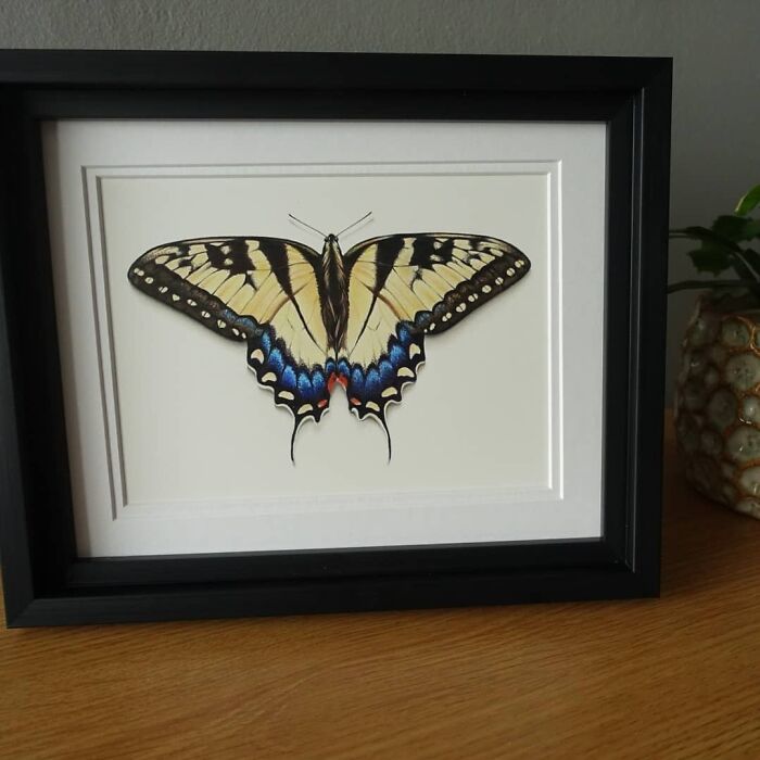 I Was Going For A Faux Taxidermy Vibe. What Do You Think? Coloured Pencil On Cotton Paper