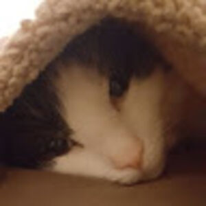 bridgetdominguez avatar