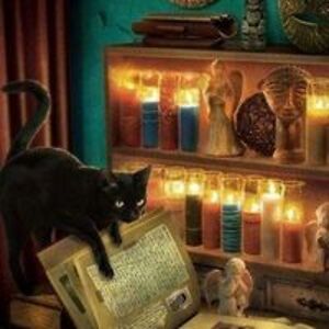 kate_phillips avatar