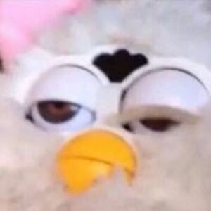 dariuslandlubber avatar