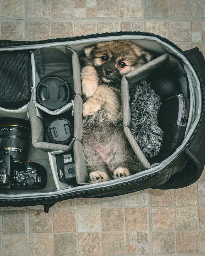 Only Packing The Essentials!