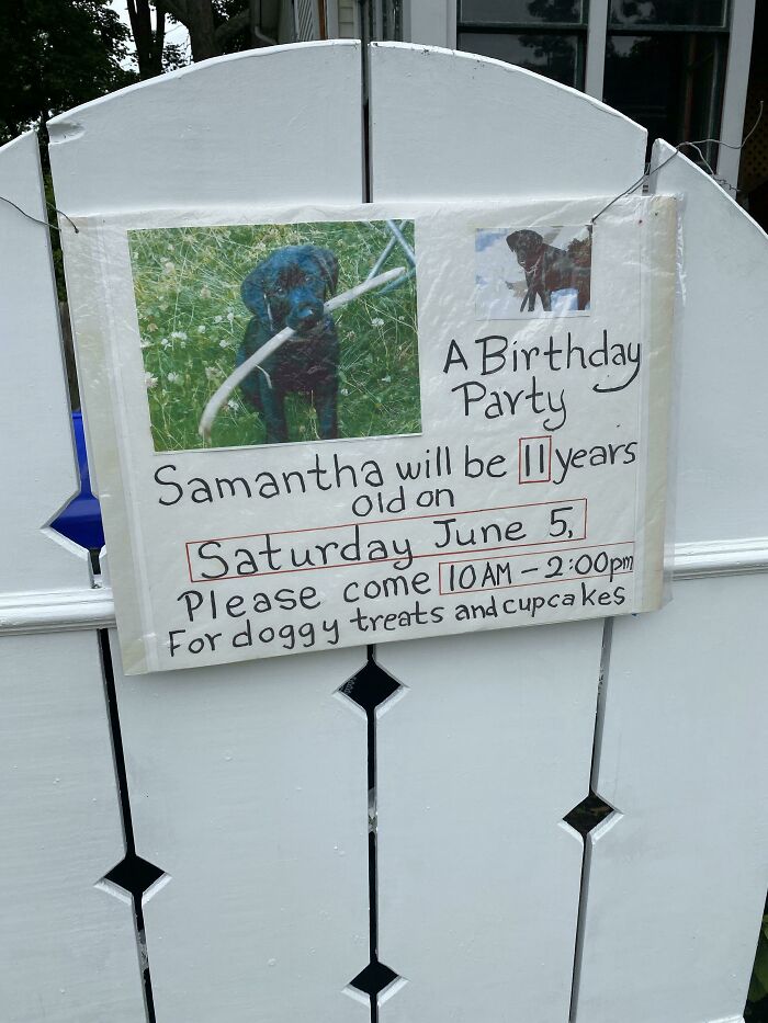 An Elderly Neighbor Of Mine Is Throwing A Birthday Party For His Dog